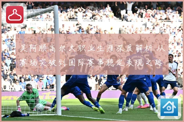 吴阿顺高尔夫职业生涯深度解析 从赛场突破到国际赛事稳定表现之路-深度解析