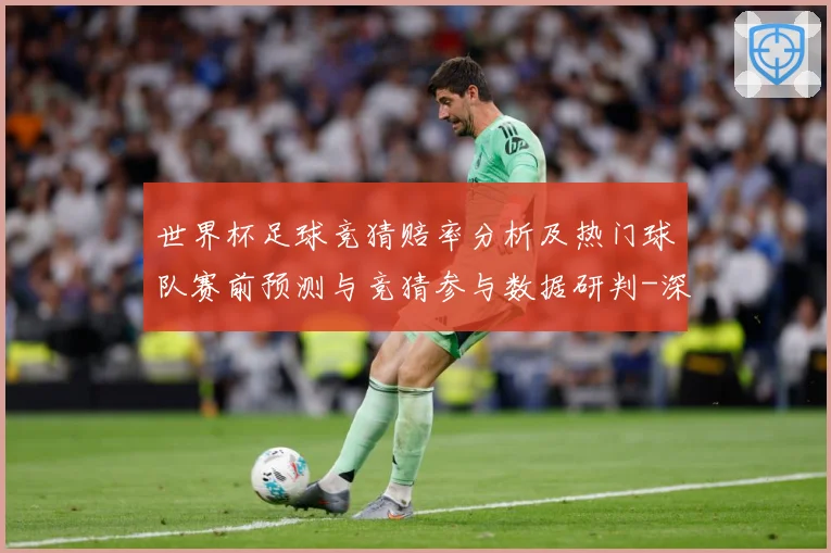 世界杯足球竞猜赔率分析及热门球队赛前预测与竞猜参与数据研判-深度解析